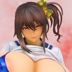 (image for) Nishina Yui - 1/5.5 (A+) - Opened