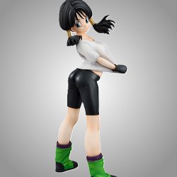 (image for) Videl - Dragon Ball Gals - Opened