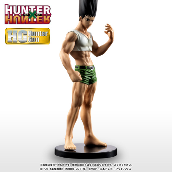 Gon Freecss - HG Series - Opened