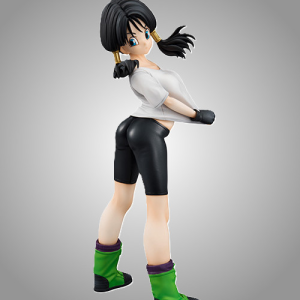 (image for) Videl - Dragon Ball Gals - Opened