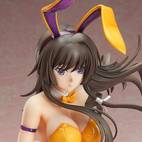 (image for) Takamura Yui - B-style - 1/4 - Bunny Ver. - Opened